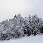 Apartamento Schwüwong - 03 *