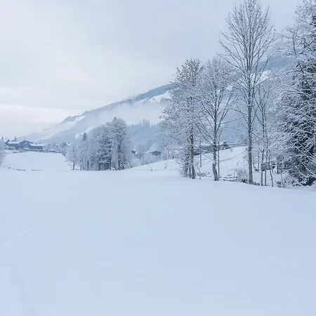 Schwuewong - 03 * Kelchsau