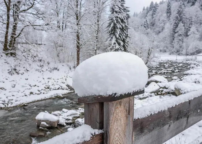 Schwuewong - 03 דירה *